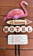 Flamingo 1